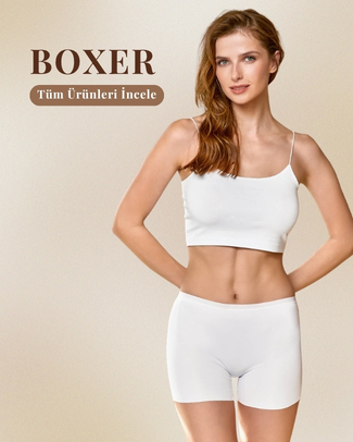 Boxer