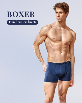 Boxer